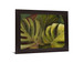 Monstera Sunburst - 28" x 34" Framed Wall Art - Green