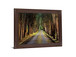 Woodland Passage - 28" x 34" Framed Wall Art - Green