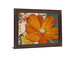 Golden Petal Burst - 28" x 34" Framed Wall Art - Orange