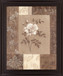 Sepia Rose Elegance - 28" x 34" Framed Wall Art - Beige