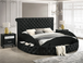 Brigitte Upholstered Bed in Black 5202BK by Crown Mark