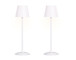 "Eclipse Aura II" Rechargeable LED Metal Accent Lamp (Set of 2) - White