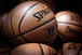 "Courtside Essence" Gloss Canvas - Gloss / Brown