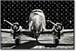 Runway Reflections - 32" x 47" Framed Wall Art - Black