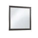 Shaker - Crocodile Metallic Mirror