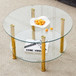 Contemporary Minimalist Double Layer Tempered Glass Coffee Table