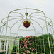 Metal Garden Arch Iron Garden Arbors Gazebo Dia High Birdcage Shape Pergola Pavilion For Wedding Ceremony