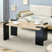 High Quality Coffee Table For Modern Minimalist Living Rooms
