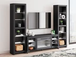 Kaori Black TV Stand with Fireplace