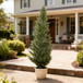 Realistic Artificial Cypress Tree, UV Resistant Indoor / Outdoor Topiary Plant For Decoration - Green Leaves