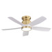 Flush Mount Ceiling Fan With LED Light 22W And Remote Control Blades / Body, DC Motor