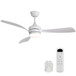 Ceiling Fan With 3 Blades, Remote Control, Reversible DC Motor, Noiseless Operation, 3 Downrods