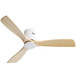 Low Profile Ceiling Fan DC, 3 Blade, Noiseless Reversible Motor, Remote Control