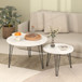 Round Nesting Coffee Table For Living Room (Set of 2)