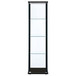 Cyclamen - 4-Shelf Clear Glass Curio Display Cabinet - Black