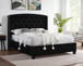 Eva - Queen Bed - Black