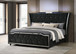 Lorient - LED Upholstered Bed