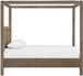 Salina - Velvet Upholstered Bed - Taupe