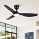 Outdoor Waterproof Ceiling Fan With Light And Quiet DC Motor, Blades For Bedroom - Black