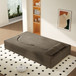 Modern Floor Sofa With 2 Pillows, Convertible Twin Size Folding Mattress For Living Room
