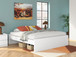 Onita - Platform Bed
