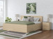 Onita - Panel Platform Bed