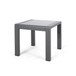 Cape Coral - Contemporary Side Table With Frosted Glass Top
