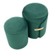 Dahlia - Nesting Ottoman (Set of 2)