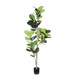 6Ft Real Touch Fake Fiddle Leaf Fig Tree In Pot, Indoor Decor For Home - Green Leaves