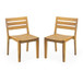 Outdoor Dining Side Chair (Set of 2) - Teak Finish