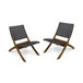 Solidago - Outdoor And Strapping Belt Folding Chairs, (Set of 2) - Black / Brown