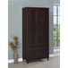 Nestor - 2 Drawer Tall Accent Cabinet With 2 Doors - Rustic