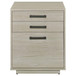 Loomis - 3-Drawer Home Office File Cabinet - Whitewashed Gray