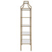 Serena - 5-Shelf Glass Bookshelf - Gold