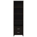 Lewes - 4-Shelf Engineered Wood Media Tower - Cappuccino