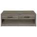 Felix - 2-Drawer Engineered Wood Coffee Table - Gray Driftwood