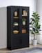 Riva - 4-Door Tall Accent Display Cabinet LED Lighting - Black
