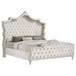 Antonella - Upholstered Queen Panel Bed - Ivory And Camel