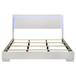 Felicity - Wood Eastern King LED Panel Bed - White High Gloss
