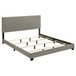 Dorian - Fabric Upholstered California King Panel Bed - Taupe