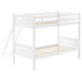 Littleton - Wood Twin Over Twin Bunk Bed - White