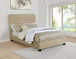 Chloe - Upholstered Full Panel Bed - Oatmeal