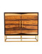 Zara - 40" 2-Door Wood Accent Storage Cabinet - Black Walnut