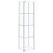 Bellatrix - 4-Shelf Clear Glass Curio Cabinet - White