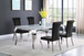 Carone - 5 Piece Rectangular White Glass Dining Set - Black