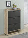 Denia - 3-Tier Engineered Wood Shoe Cabinet - Gray