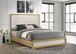 Hyland - Eastern King Panel Bed LED Headboard - Natural