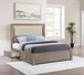 Kenora - Eastern King LED Storage Bed - Barley Brown