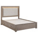 Kenora - Eastern King LED Storage Bed - Barley Brown