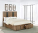 Terrace - 2-Drawer Queen Storage Bed - Ash Brown